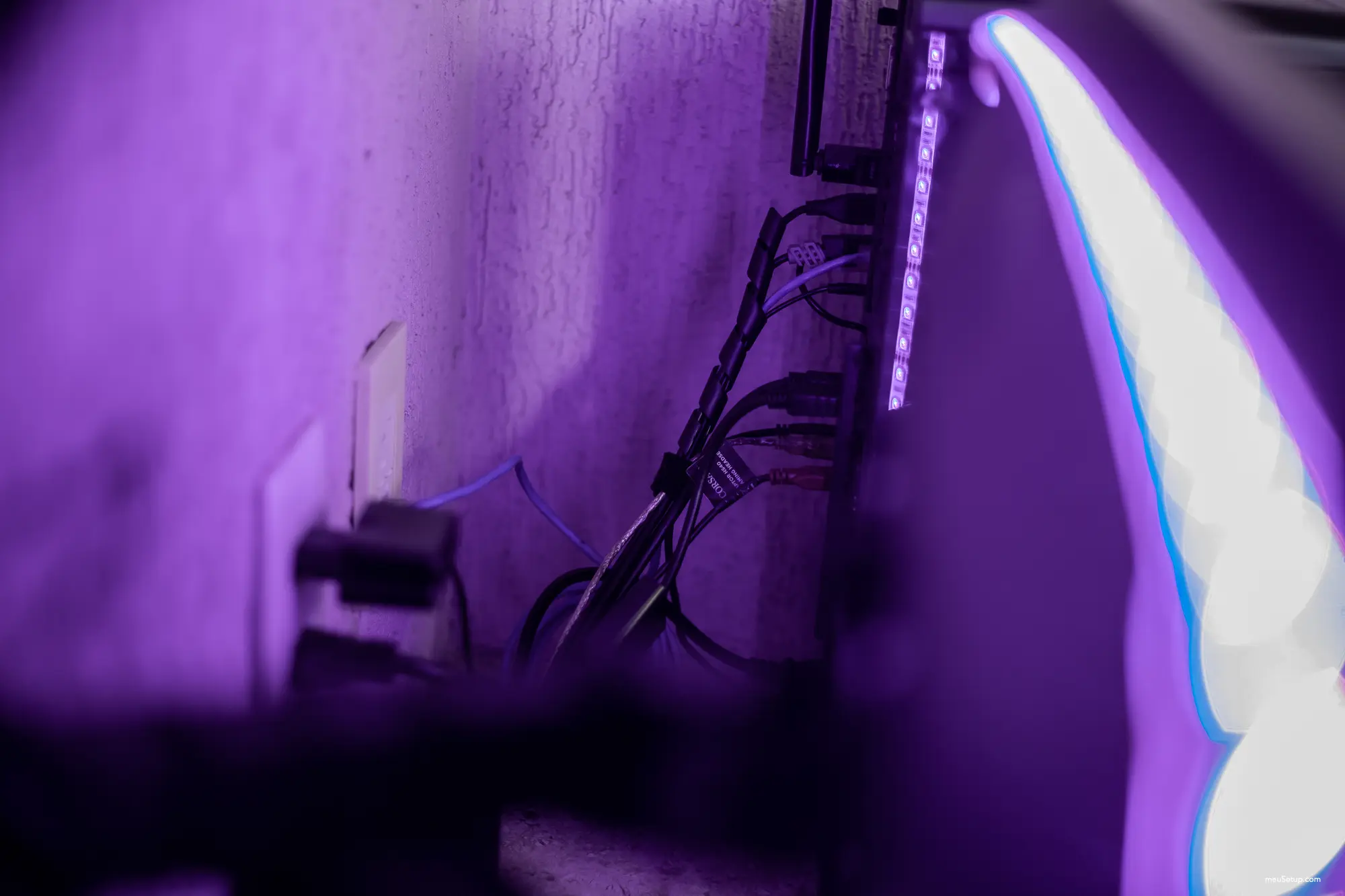 Lilac — foto 20