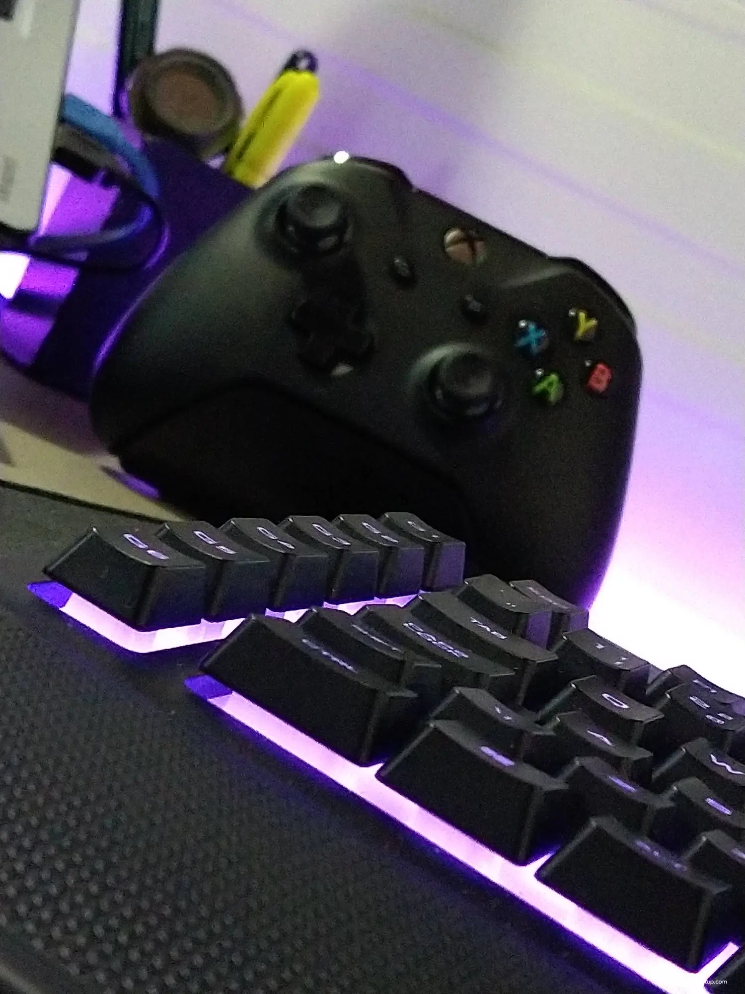 RACING PURPLE R4BBIT  — foto 14