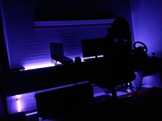 RACING PURPLE R4BBIT 