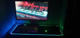 Cyberbug 2077