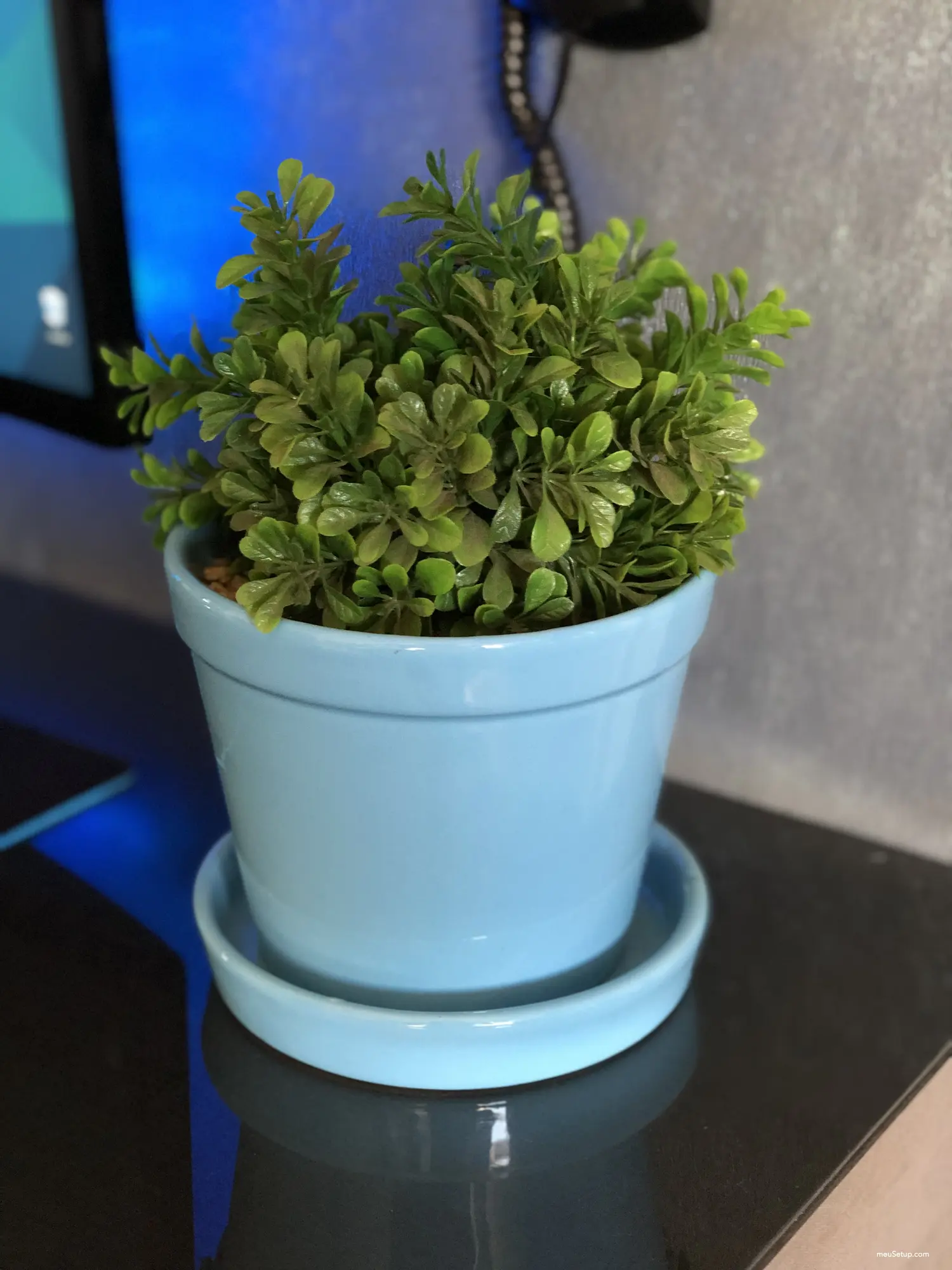 Lightblue — foto 18